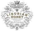 画像3: マインビーチ MAINE BEACH リグリアンハニー ハンド＆ボディクリーム ローション 500ml LIGURIAN HONEY 5503001p (3)